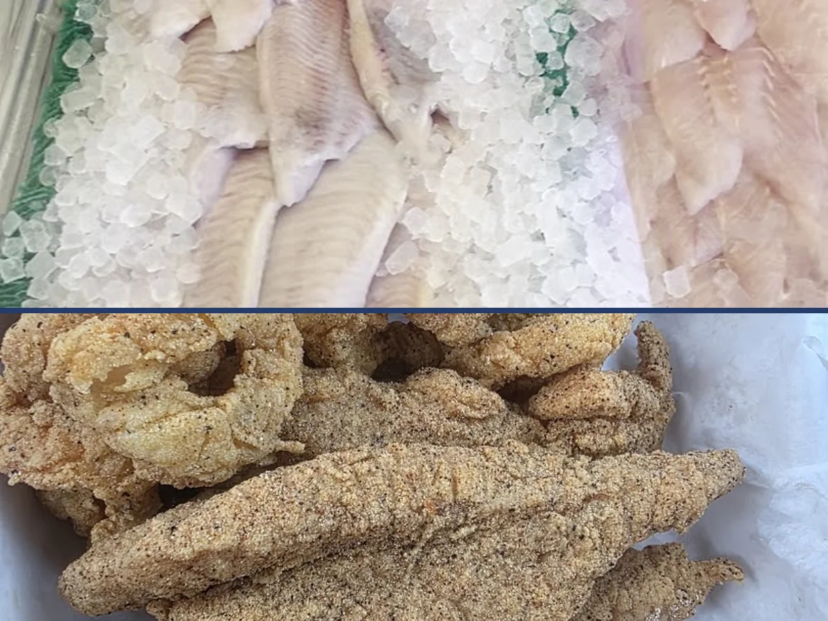 Fish, Chicken, and Lunch